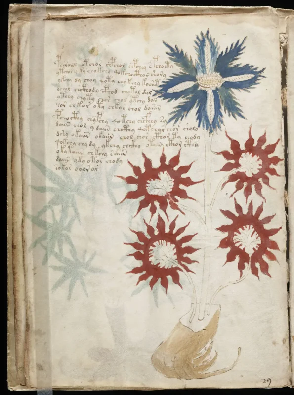 voynich-el-yazmasi P65.Net voynich-el-yazmasi